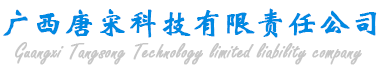 广西唐宋科技有限责任公司